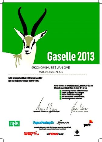 Bevis for at vi ble Gasellebedrift 2013